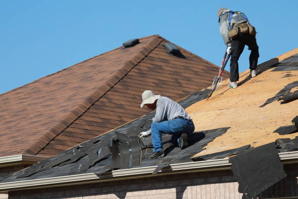 Siding in Creve Coeur, MO